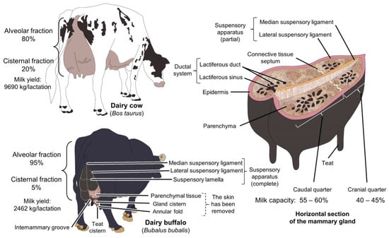 MP Animal Unit รีวิวหนัง